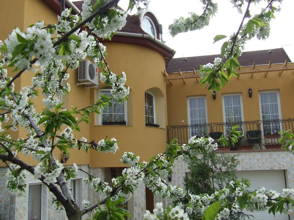 Abbazia Apartman Apartment Eger Exterior photo